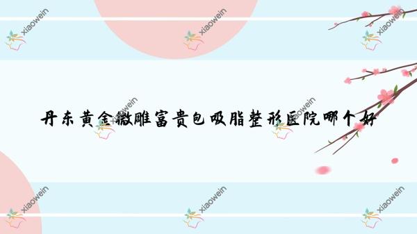 丹东黄金微雕富贵包吸脂医院哪个好？医林/日升，另附价格