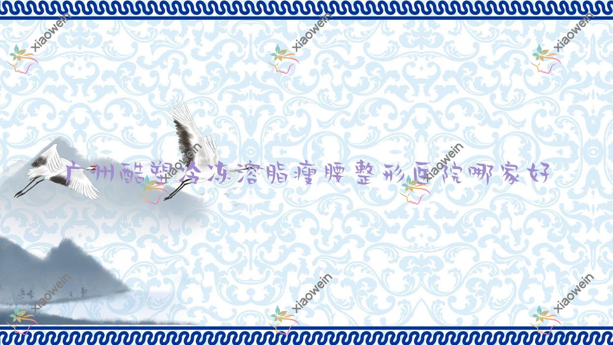 广州酷塑冷冻溶脂瘦腰哪家好?广州酷塑冷冻溶脂背部溶脂推荐联合致美/雅媄佳/星玥