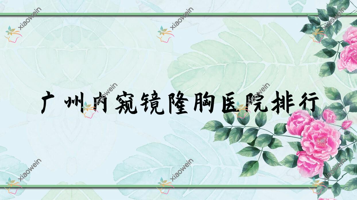 广州内窥镜隆胸医院排行收费表总览！公办、私立都有