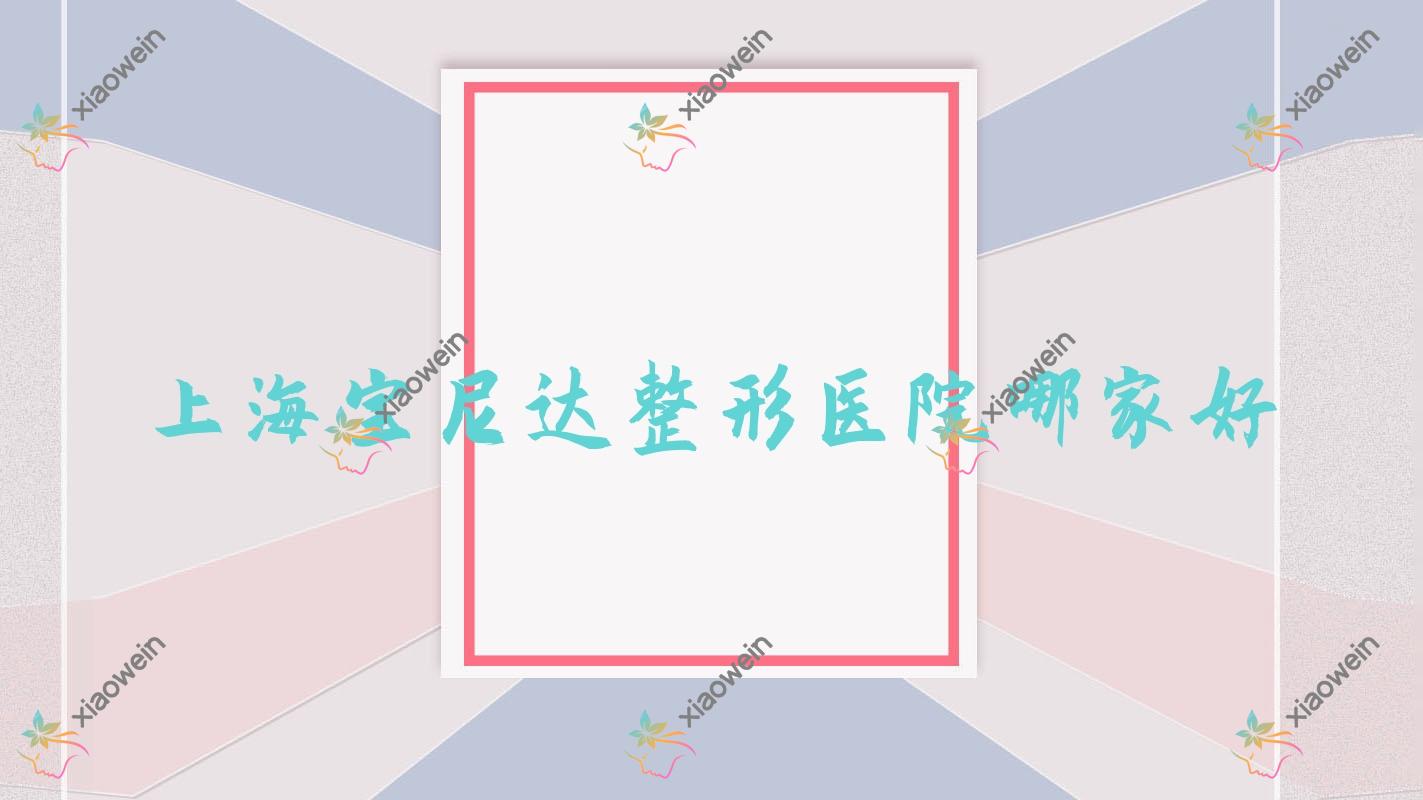 上海宝尼达哪里好？价格多少钱？览海|雅朴|宸山宸辰12000+