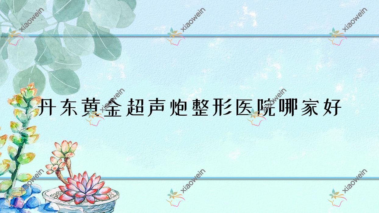 丹东黄金超声炮哪里好？价格多少钱？东港挚颜|铂朗奇|德尔美客10000元起