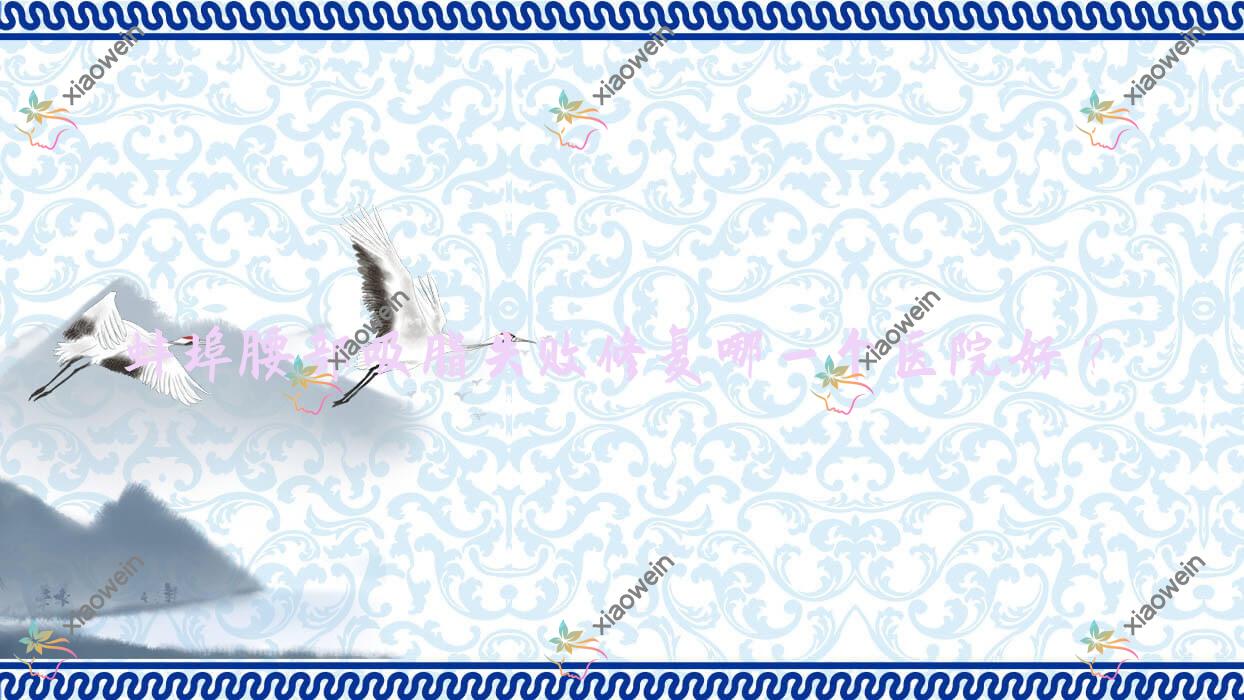 蚌埠腰部吸脂失败修复哪一个医院好？优选五家本地实力较高的整形机构