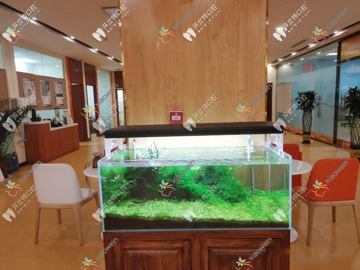太原维乐口腔门诊部
