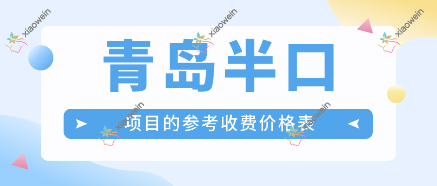 青岛半口项目的参考收费价格表