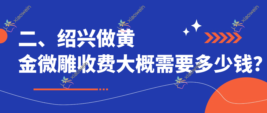 二、绍兴做黄金微雕收费大概需要多少钱？艺美5659/艺美4690/维美4280