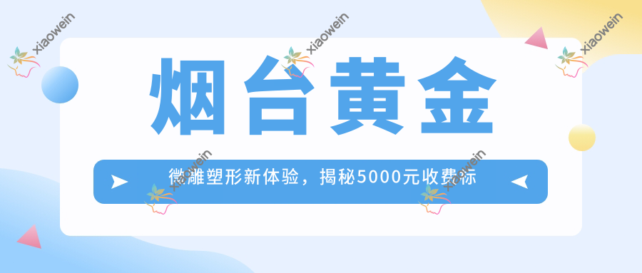 烟台黄金微雕塑形新体验，揭秘5000元收费标准的详细内幕
