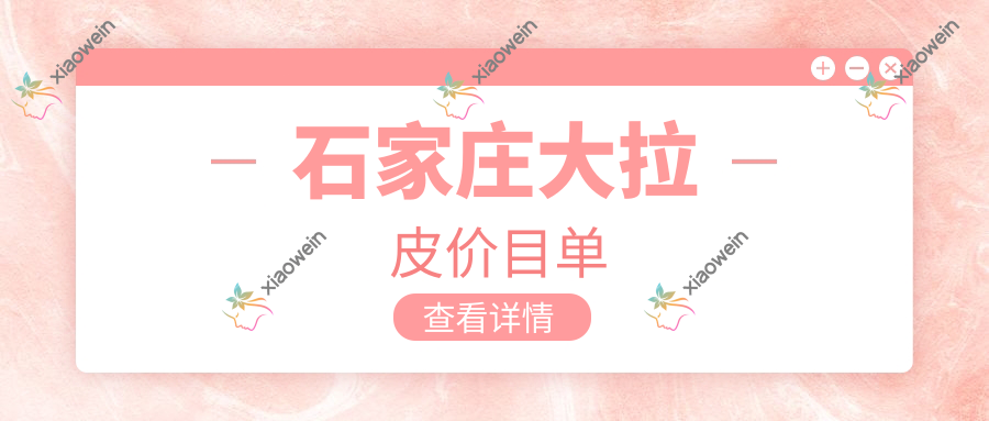 石家庄大拉皮价目单
