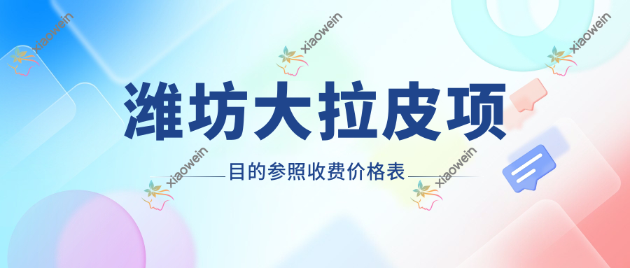 潍坊大拉皮项目的参照收费价格表