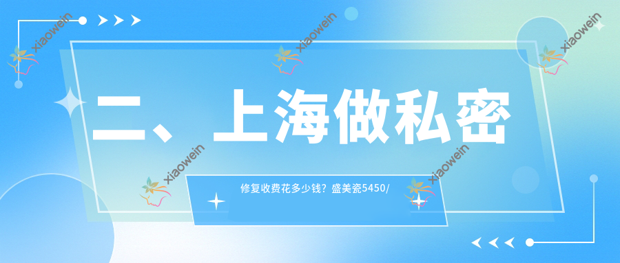 二、上海做私密修复收费花多少钱？盛美瓷5450/佳富美6680/咏美6250