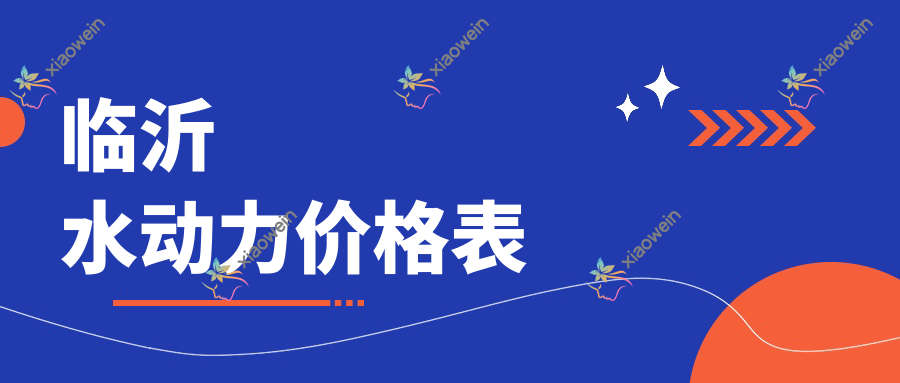 临沂水动力价格表