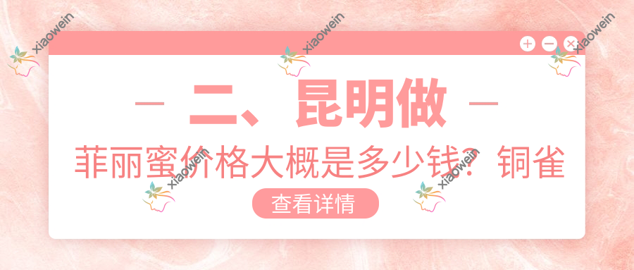二、昆明做菲丽蜜价格大概是多少钱？铜雀台2998/艺星2259/娇点2988