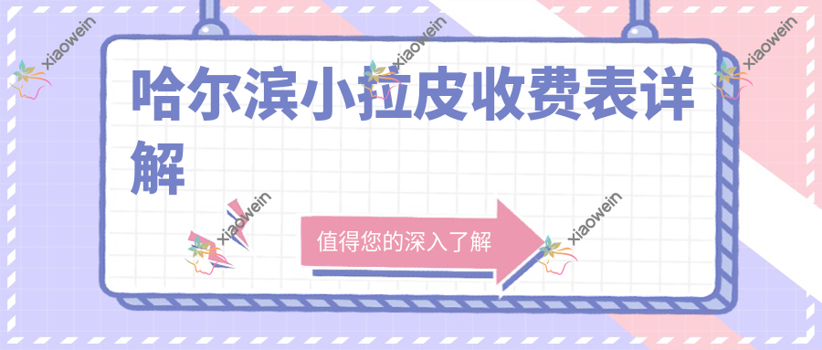 哈尔滨小拉皮收费表详解