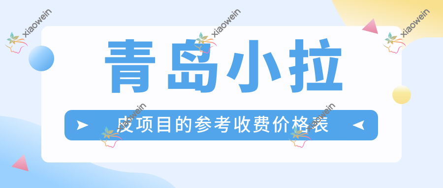青岛小拉皮项目的参考收费价格表