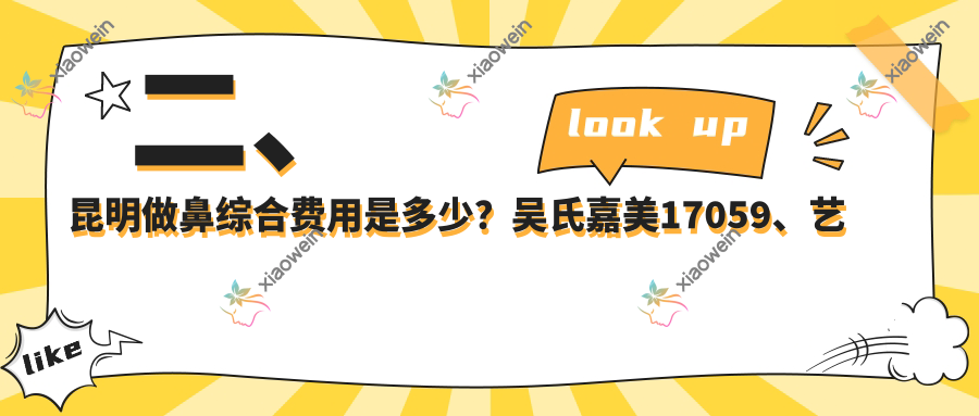 二、昆明做鼻综合费用是多少？吴氏嘉美17059、艺星18159、博美19868