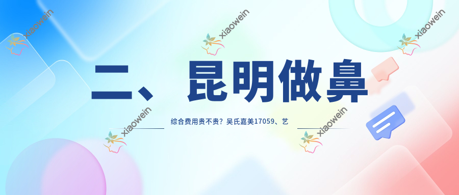 二、昆明做鼻综合费用贵不贵？吴氏嘉美17059、艺星18159、博美19868