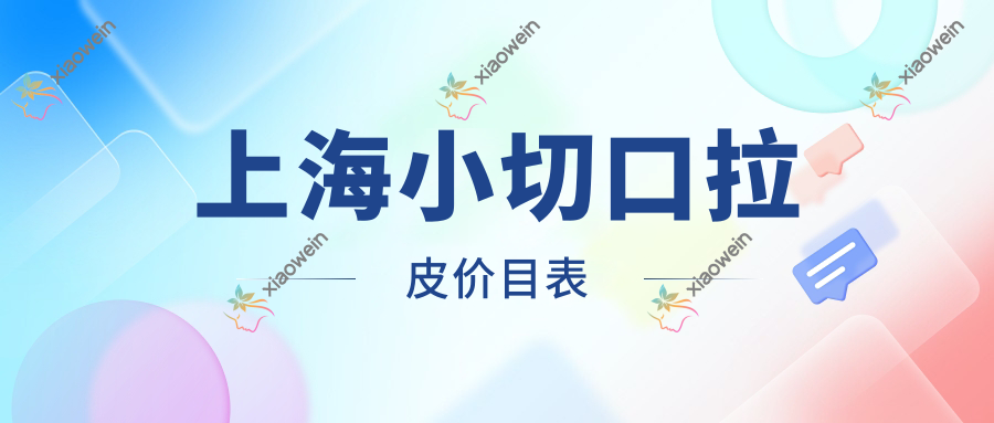 上海小切口拉皮价目表