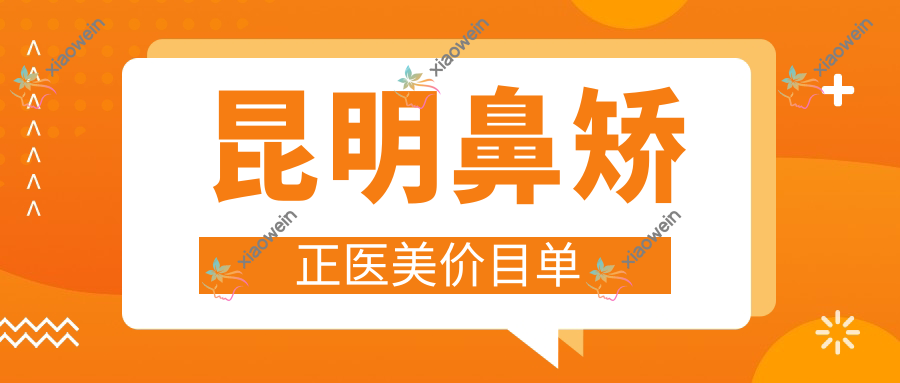昆明鼻矫正医美价目单