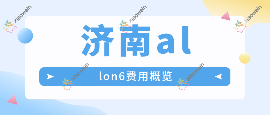 济南allon6费用概览