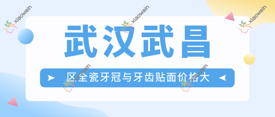 武汉武昌区全瓷牙冠与牙齿贴面价格大揭秘：1000元起，优选性价比高方案推荐